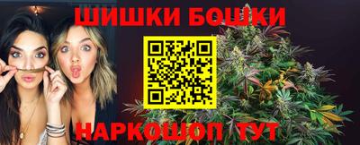 прущие крисы Будённовск