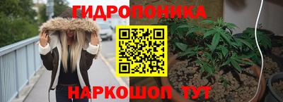 прущие крисы Будённовск