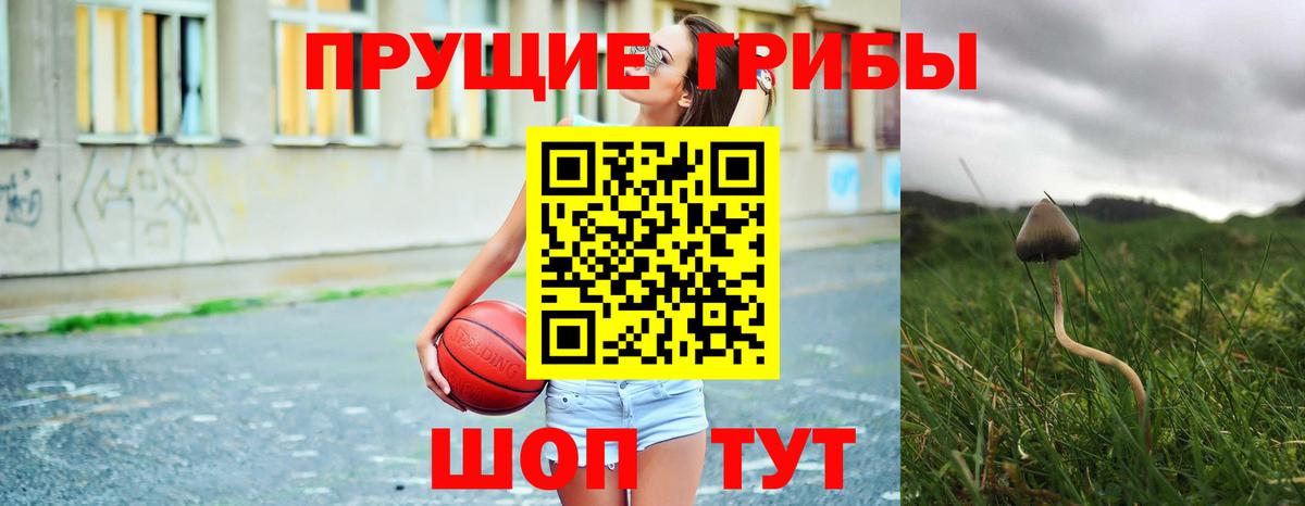 Псилоцибиновые грибы мухоморы Темрюк