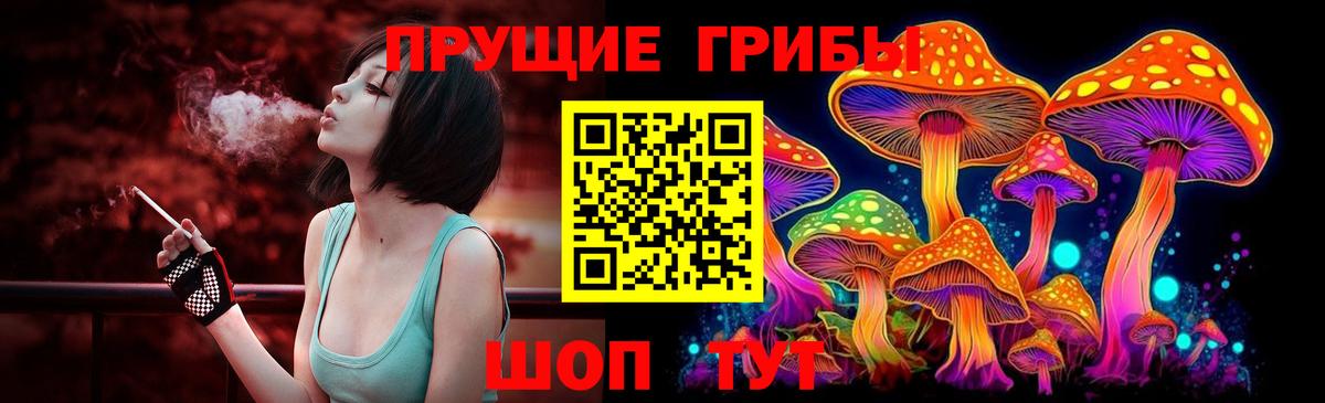 Темрюк  Псилоцибиновые грибы мухоморы  купить закладку  Вход с VPN 